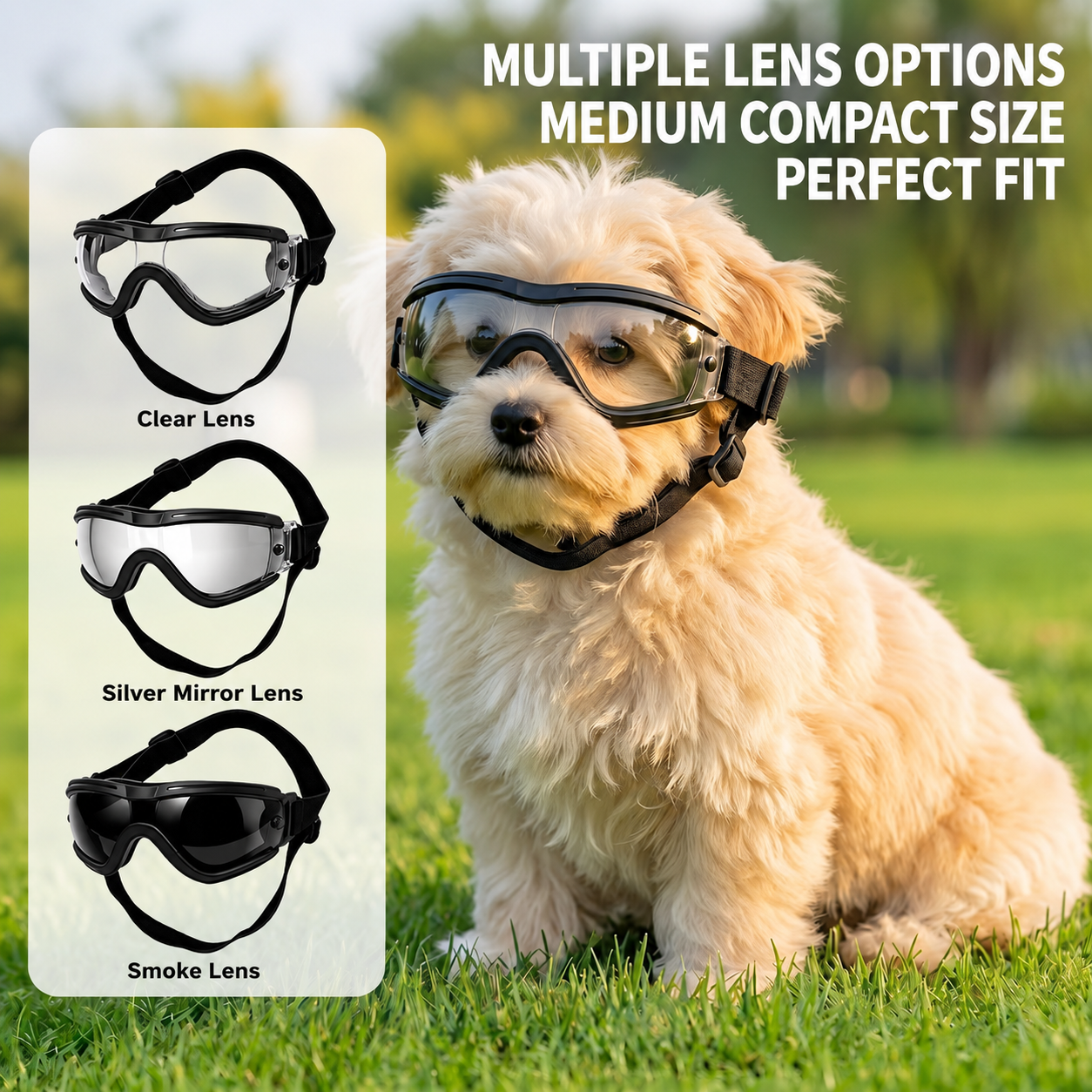 Sunglass Retainer Cord - Gafas Protectoras para Perros Pequeños y