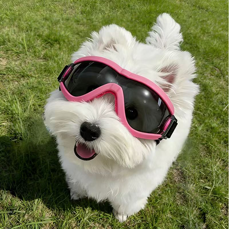 Gafas Protectoras para Perros  - Sunglass Retainer Cord reseña y precio